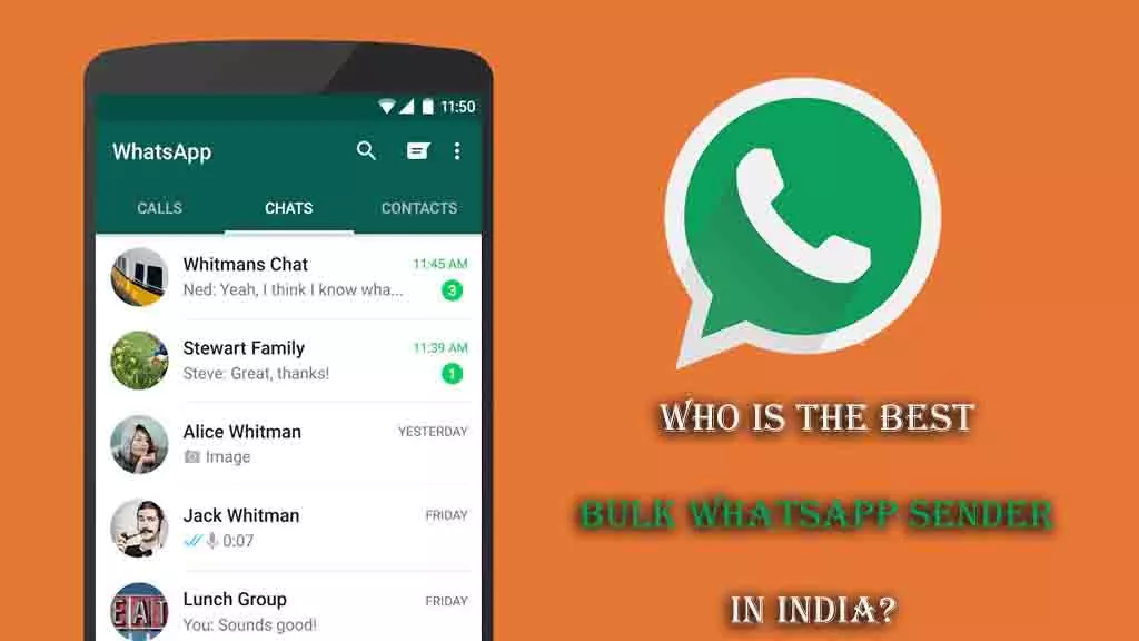 Buy Bulk WhatsApp Sender Service: Wa Sender Free Bulk Messaging